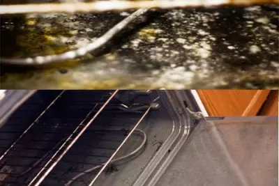 The Pretty Mouth Winner(s)! And What's Up With My Oven? 1