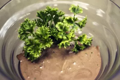 Balancing Parsley-Cocoa Facial Mask and Sister Oil 7