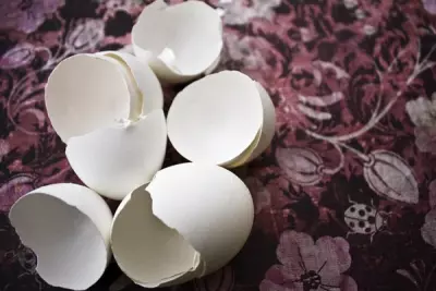 Help Crunchy Betty With a Little Eggshell Issue 1