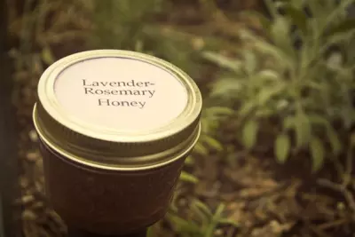Easy Herbal Infused Honey - Tantalizing for Your Tongue and Beautifying for Your Face 1