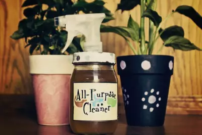 Homemade All-Purpose Cleaning Spray With Infused Vinegar 4