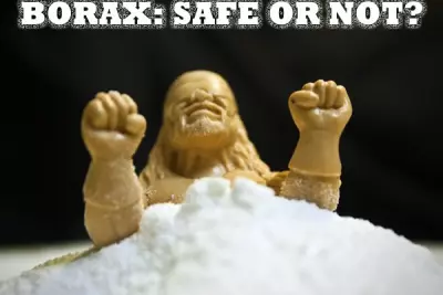 Getting to the Bottom of Borax: Is it Safe or Not?
