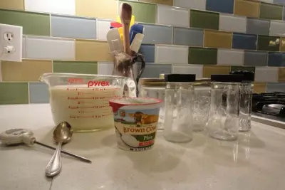 The Holy Grail of Crunchy:  Making Your Own Yogurt 1