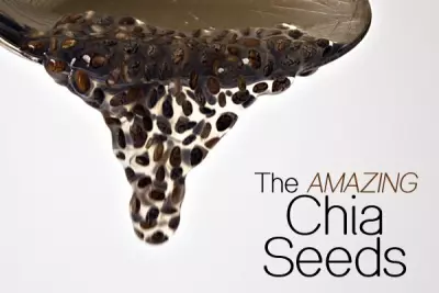 Chia Lookin' Swell, Baby 1