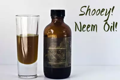 Natural Ingredients: Sometimes Things Just Stink 4