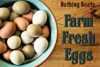 12 Things You Should Know About (and Do With) Your Eggs 7