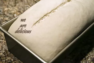 We Are Delicious 1