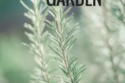 Start Crafting Your Perfect Crunchy Herb Garden - Now!