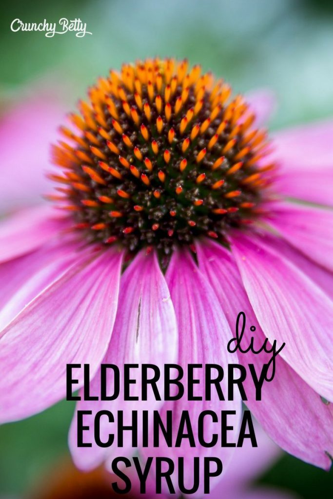 Natural Medicine Cabinet: Elderberry Echinacea Syrup Recipe