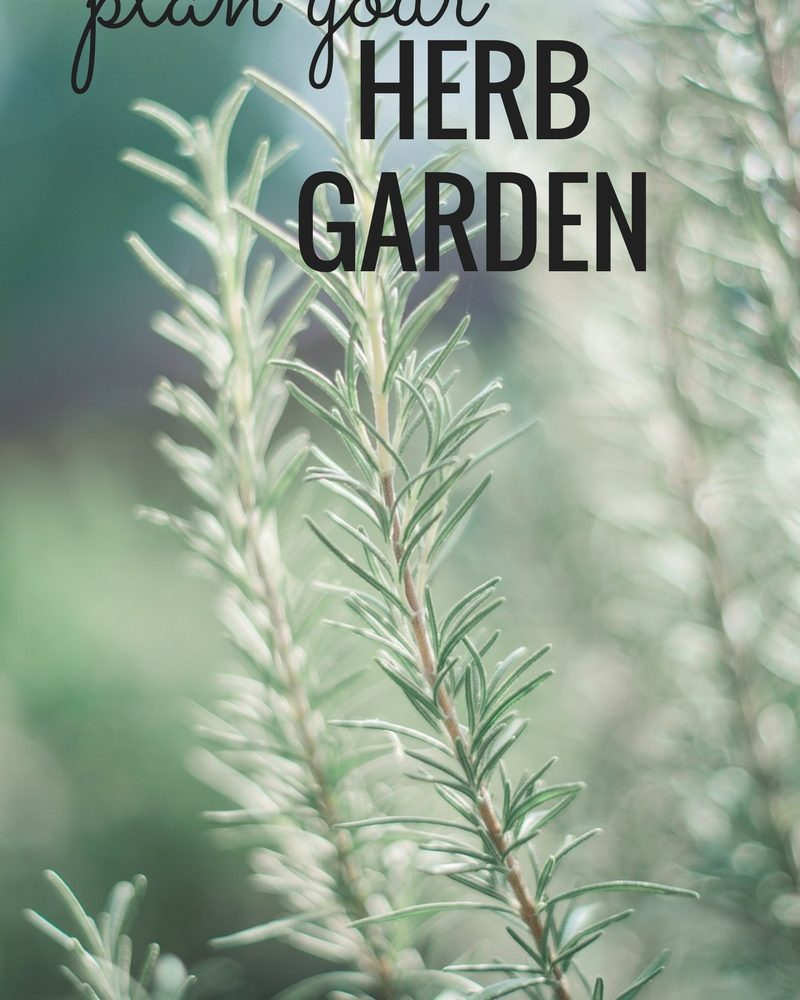 Start Crafting Your Perfect Crunchy Herb Garden - Now!