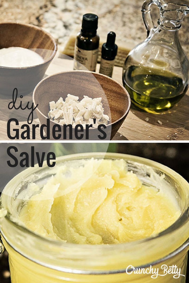 The Roofarm and Recipes for Not-Just-For-Gardeners Salve 11