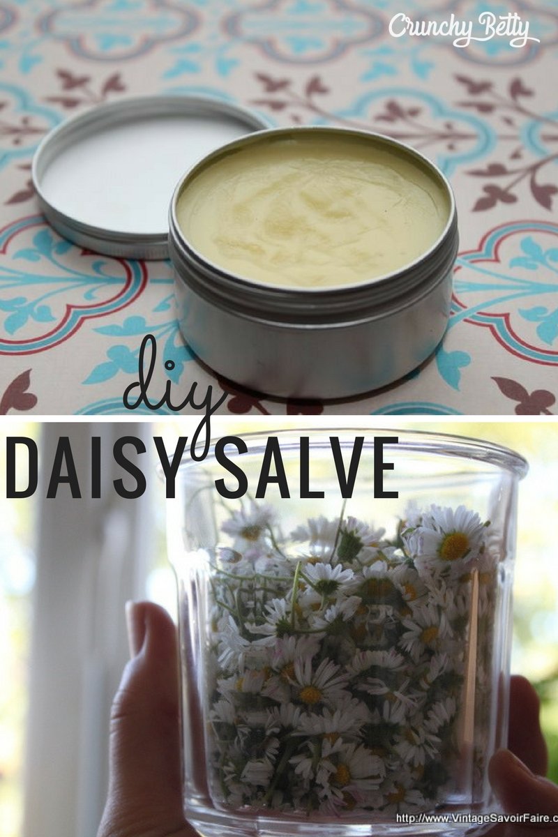 Vintage Remedies – Make Daisy Salve for Bumps & Bruises 5